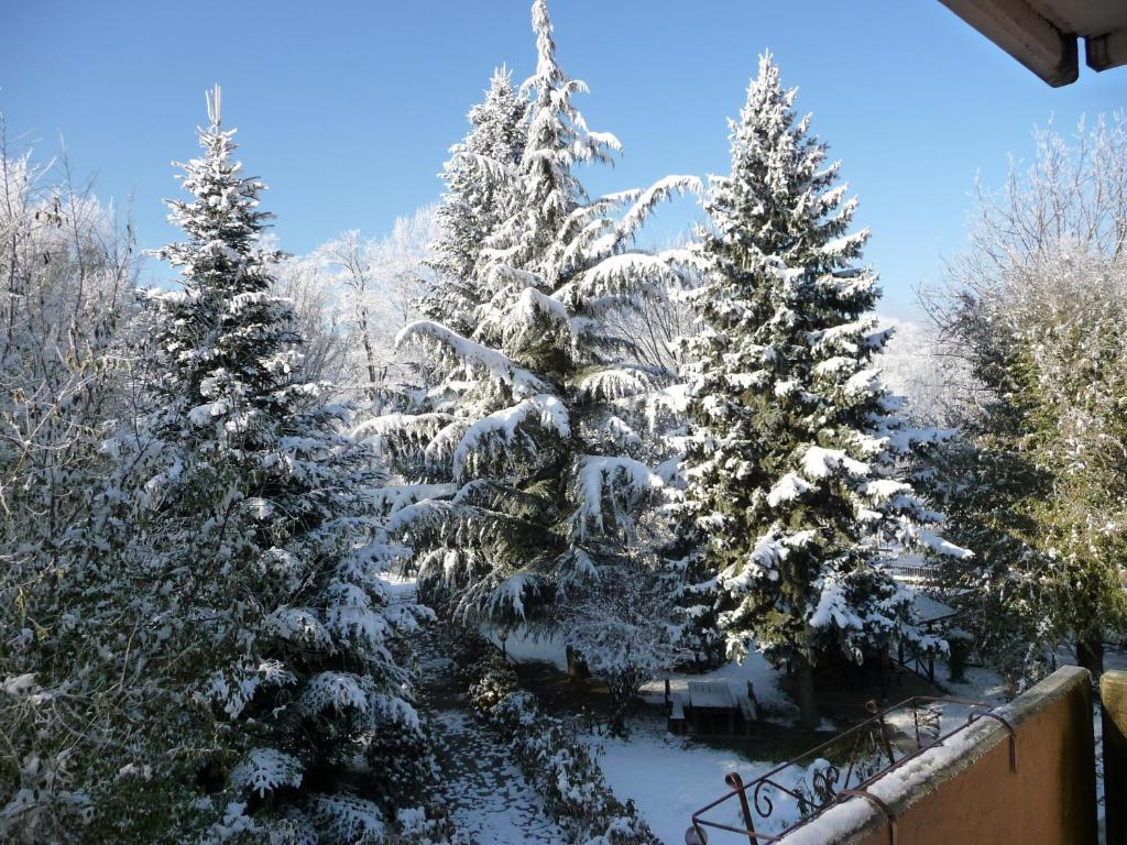 Garden House - Hotel Sport Levico Terme Exterior photo