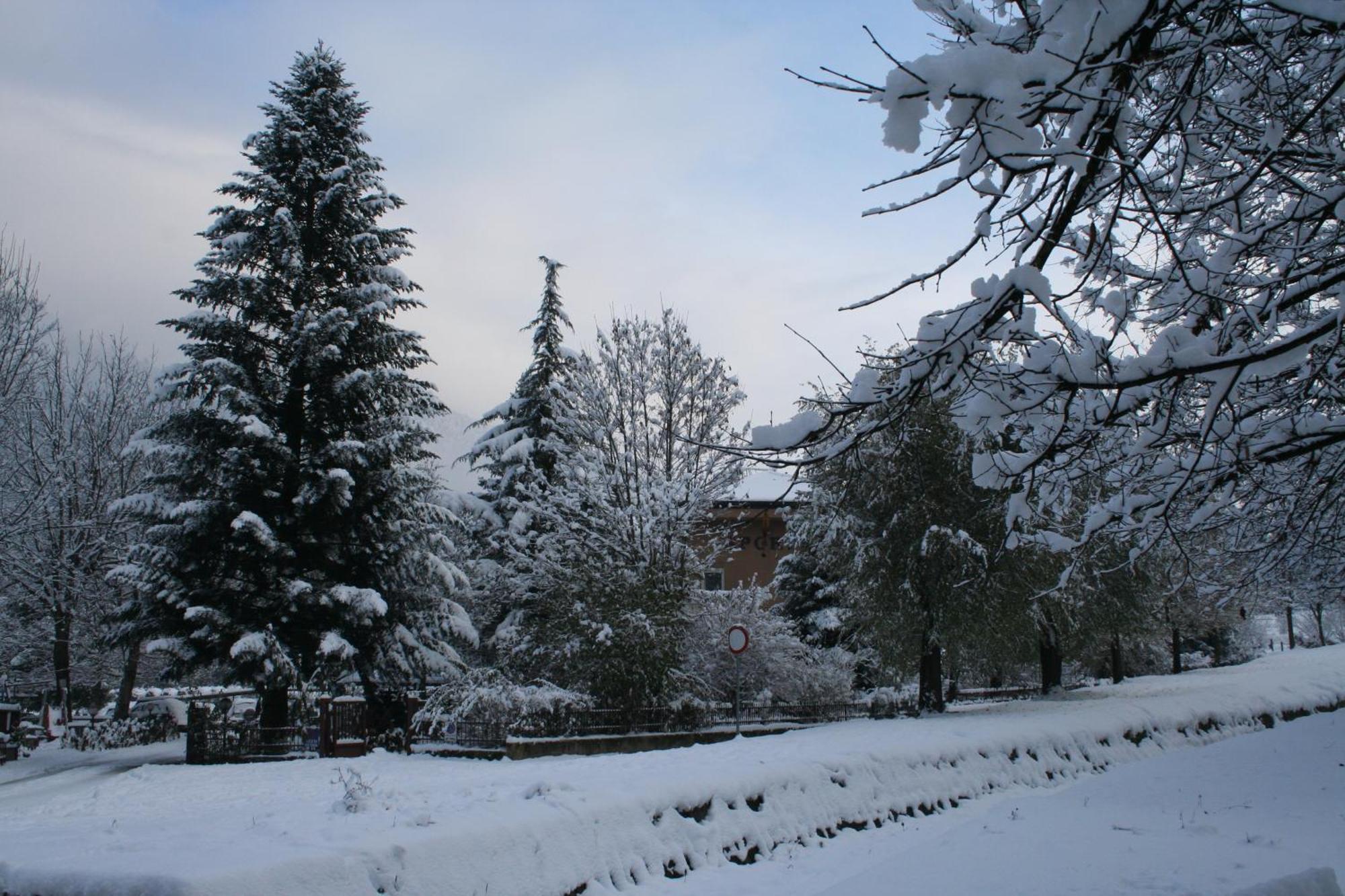 Garden House - Hotel Sport Levico Terme Exterior photo